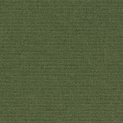 Mayer Prism 10 Asparagus 426-023 Spectrum Collection Indoor Upholstery Fabric