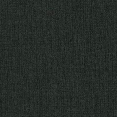 Mayer Legacy Obsidian 471-006 Supreen Collection Indoor Upholstery Fabric