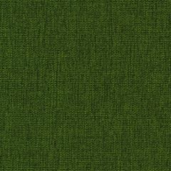 Mayer Legacy Spruce 471-013 Supreen Collection Indoor Upholstery Fabric