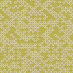 Mayer Loop Citron 637-003 Axis Collection Indoor Upholstery Fabric