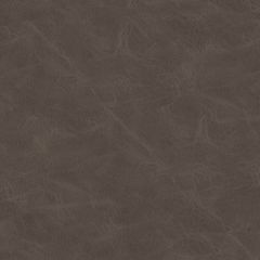 Mayer Omega Taupe OM-020 Craftsman Collection Indoor Upholstery Fabric