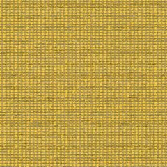 Mayer Form Canary WC975-002 Crypton Structures Collection Indoor Upholstery Fabric