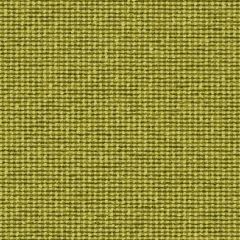 Mayer Form Kiwi WC975-003 Crypton Structures Collection Indoor Upholstery Fabric