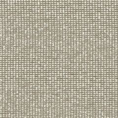 Mayer Form Zinc WC975-007 Crypton Structures Collection Indoor Upholstery Fabric