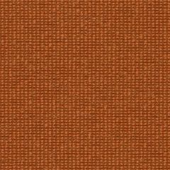 Mayer Form Clay WC975-009 Crypton Structures Collection Indoor Upholstery Fabric