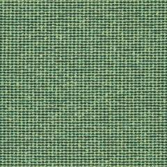 Mayer Form Mint WC975-013 Crypton Structures Collection Indoor Upholstery Fabric