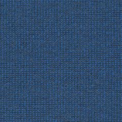 Mayer Form Cobalt WC975-014 Crypton Structures Collection Indoor Upholstery Fabric