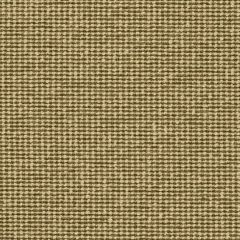 Mayer Form Cashew WC975-027 Crypton Structures Collection Indoor Upholstery Fabric