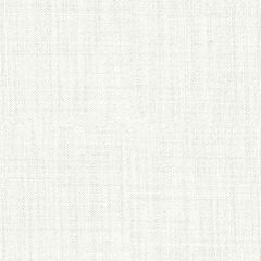 Mayer Function Snow WC976-007 Crypton Structures Collection Indoor Upholstery Fabric