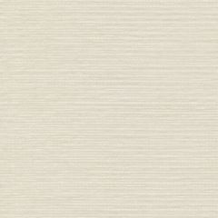 Mayer Channel Salt WC977-007 Crypton Structures Collection Indoor Upholstery Fabric