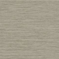 Mayer Channel Stone WC977-027 Crypton Structures Collection Indoor Upholstery Fabric