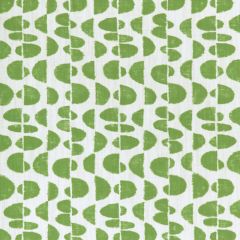Kravet Basics Moon Phase Aloe 31 Small Scale Prints Collection Multipurpose Fabric