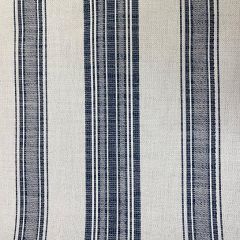 Patio Lane Morella Navy Waterview Collection Upholstery Fabric