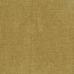 ABBEYSHEA Meditate 408 Gold Indoor Upholstery Fabric