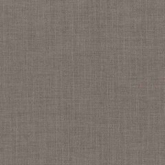 AbbeyShea Jasper Gotham 68 Phantom Blackout Collection Drapery Fabric