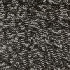 Kravet Contract Needles Adriatic 35 Foundations / Value Collection Indoor Upholstery Fabric
