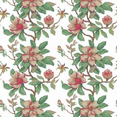 Stout Magnolia Grandiflora  7460-3 Bassett Mcnab Collection Multipurpose Fabric