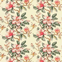 Stout Magnolia Grandiflora  7460-7 Bassett Mcnab Collection Multipurpose Fabric