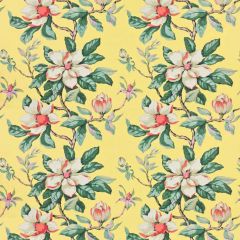 Stout Magnolia Grandiflora  7460-9 Bassett Mcnab Collection Multipurpose Fabric