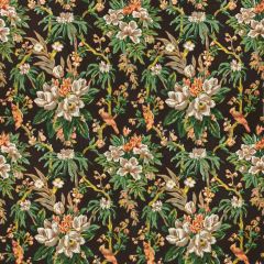 Stout Veranda 7535-11 Bassett Mcnab Collection Multipurpose Fabric