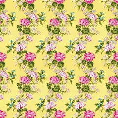 Stout Summer Garden 7545-9 Bassett Mcnab Collection Multipurpose Fabric