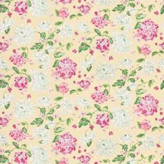 Stout Hampton 7585-7 Bassett Mcnab Collection Multipurpose Fabric