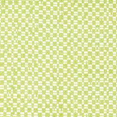 Stout Foundation Seaglass 7803-49 Bassett Mcnab Collection Upholstery Fabric