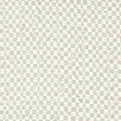 Stout Foundation Windswept 7803-7 Bassett Mcnab Collection Drapery Fabric