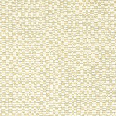 Stout Foundation Beach 7803-77 Bassett Mcnab Collection Upholstery Fabric