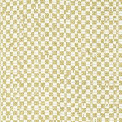 Stout Foundation Glow 7803-9 Bassett Mcnab Collection Drapery Fabric