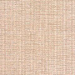 Stout Beginnings Desert 7804-21 Bassett Mcnab Collection Upholstery Fabric