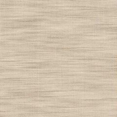 Stout Adair Raffia 2 Color My Window Collection Drapery Fabric