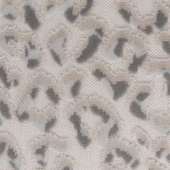Stout Argus Dove 1 Piled High Velvets Collection Upholstery Fabric