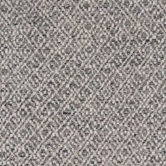 Stout Atrium Stone 2 Living Is Easy Collection Upholstery Fabric