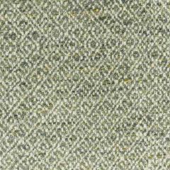 Stout Atrium Dewkist 4 Living Is Easy Collection Upholstery Fabric