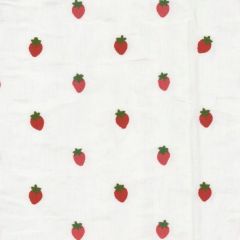 Stout Azle Strawberry 1 Rainbow Library Collection Multipurpose Fabric