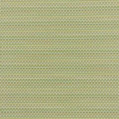 Stout Barkley Cypress 3 No Limits Collection Upholstery Fabric