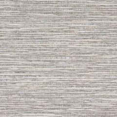 Stout Basque Zinc 1 Living Is Easy Collection Upholstery Fabric