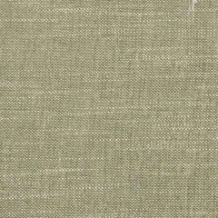 Stout Benton Avocado 2 Comfortable Living Collection Multipurpose Fabric