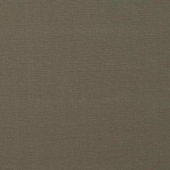 Stout Bismark Twig 13 Marcus William Collection Multipurpose Fabric