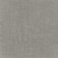 Stout Bountiful Nickel 9 Living Is Easy Collection Upholstery Fabric