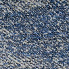 Stout Brogue Navy 1 Rainbow Library Collection Multipurpose Fabric