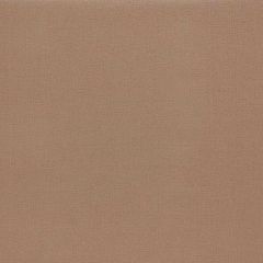 Stout Cadmium Camel 17 Kai Peninsula Collection Upholstery Fabric