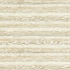 Old World Weavers Muir Woods Birch CD 0054OB41 Dorset Coast Collection Multipurpose Fabric