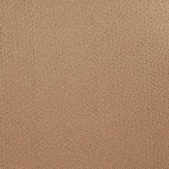 Stout Citra Copper 2 Kai Peninsula Collection Drapery Fabric