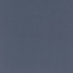 Stout Classic Blueberry 1 All Things Versatile Collection Upholstery Fabric