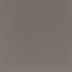 Stout Classic Cocoa 4 All Things Versatile Collection Upholstery Fabric