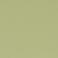 Stout Classic Pistachio 8 All Things Versatile Collection Upholstery Fabric