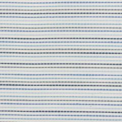 Stout Colson Periwinkle 2 No Limits Collection Upholstery Fabric