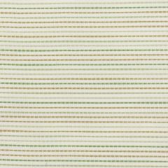 Stout Colson Pistachio 3 No Limits Collection Upholstery Fabric